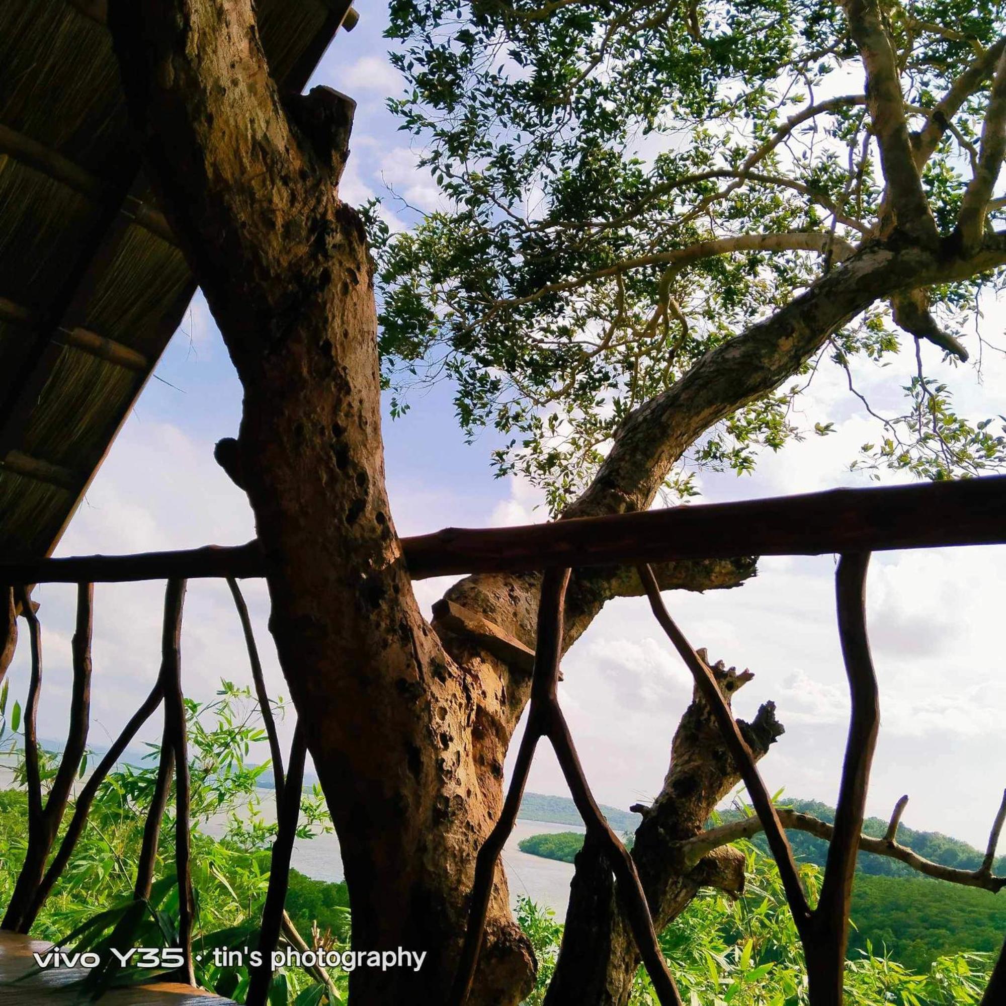 Sanctuaria Treehouses บูซวงกา ภายนอก รูปภาพ