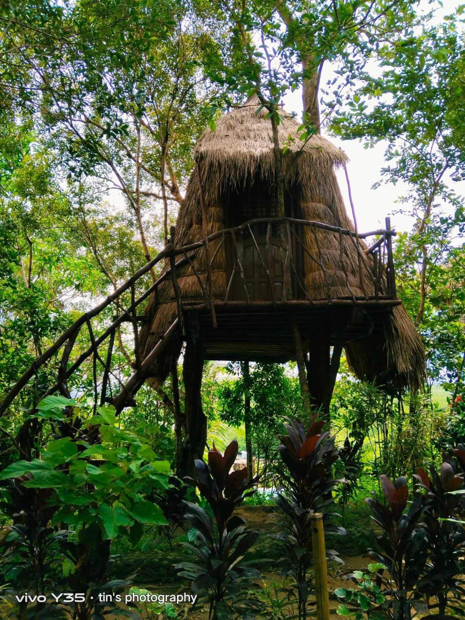 Sanctuaria Treehouses บูซวงกา ภายนอก รูปภาพ