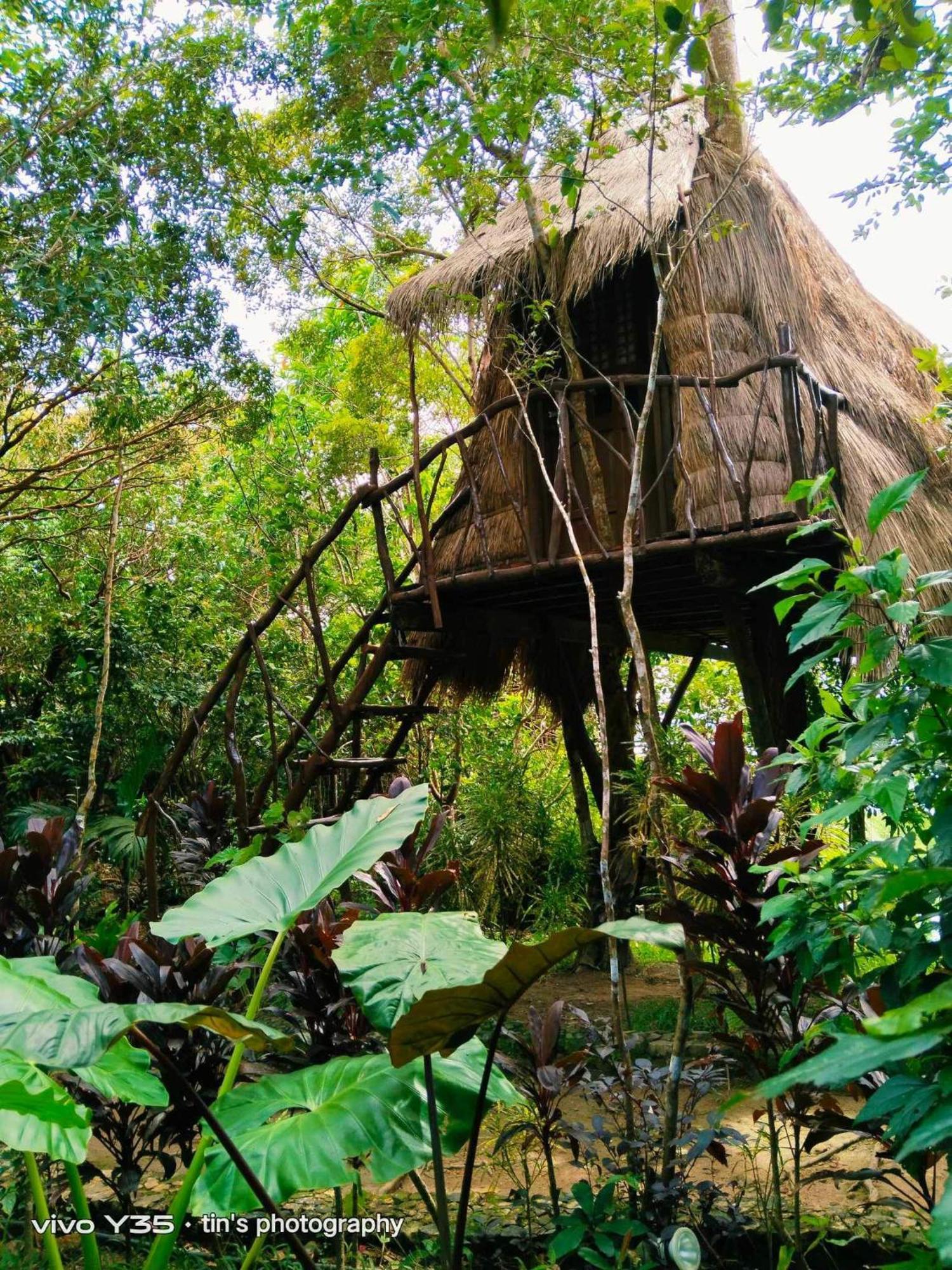 Sanctuaria Treehouses บูซวงกา ภายนอก รูปภาพ