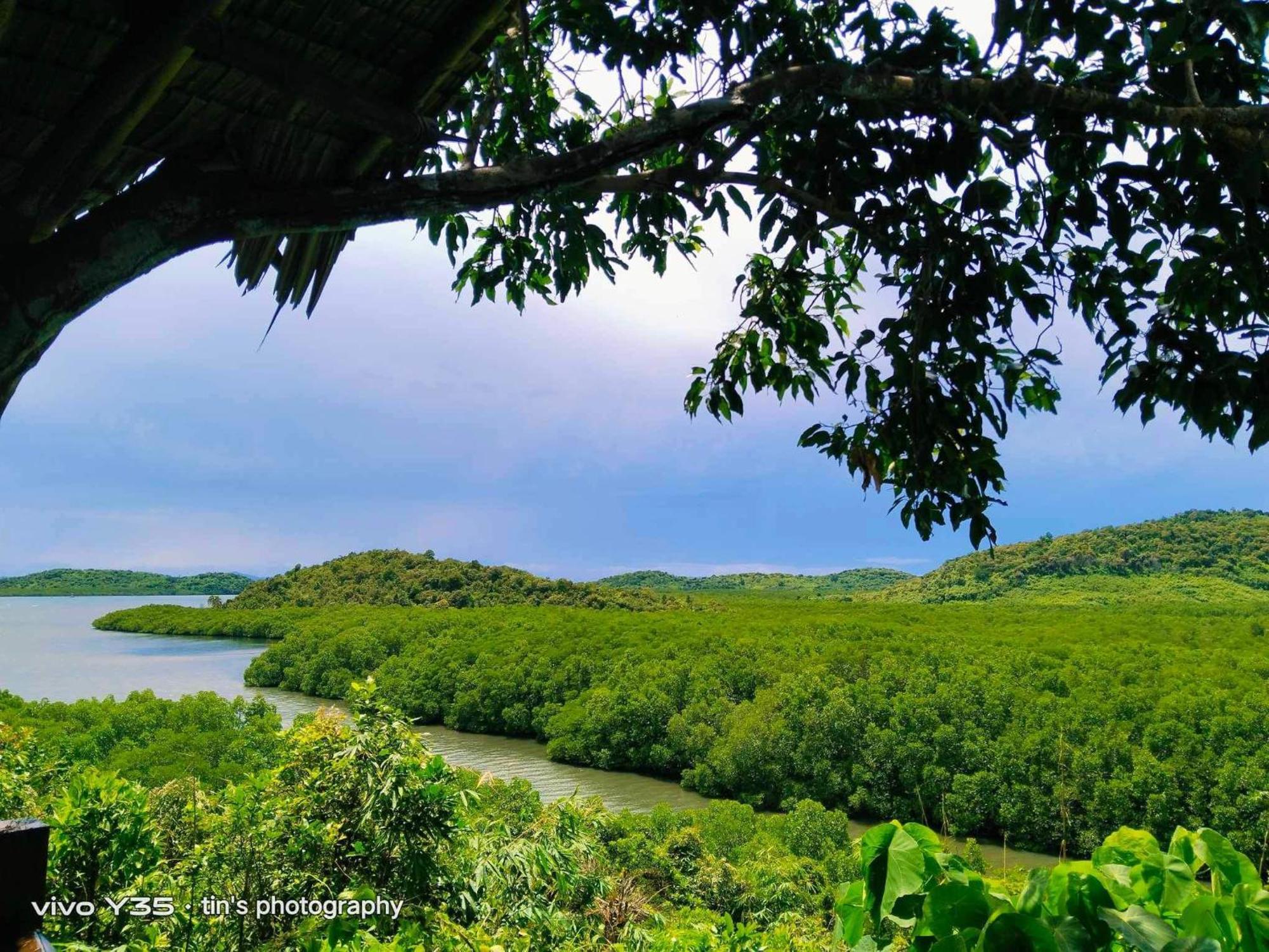 Sanctuaria Treehouses บูซวงกา ภายนอก รูปภาพ