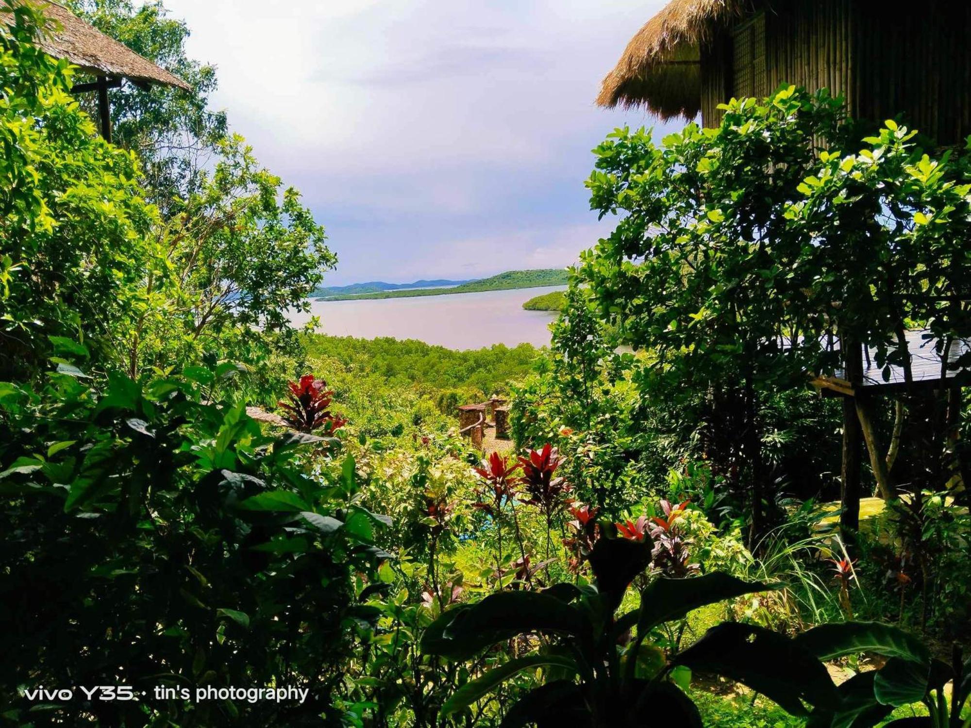 Sanctuaria Treehouses บูซวงกา ภายนอก รูปภาพ