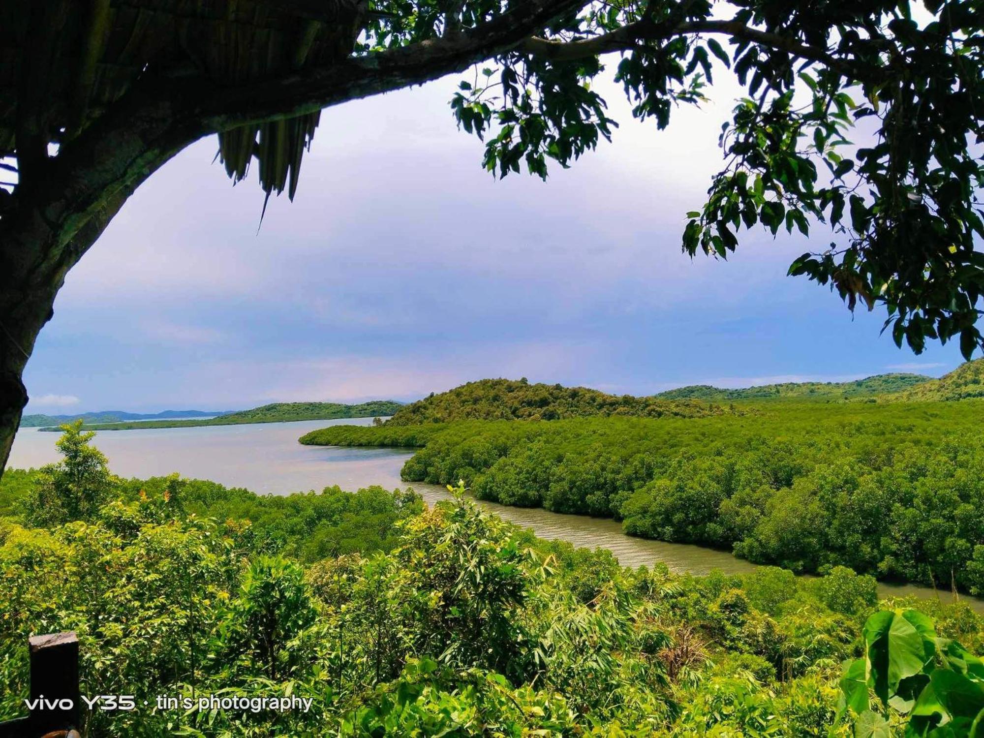 Sanctuaria Treehouses บูซวงกา ภายนอก รูปภาพ