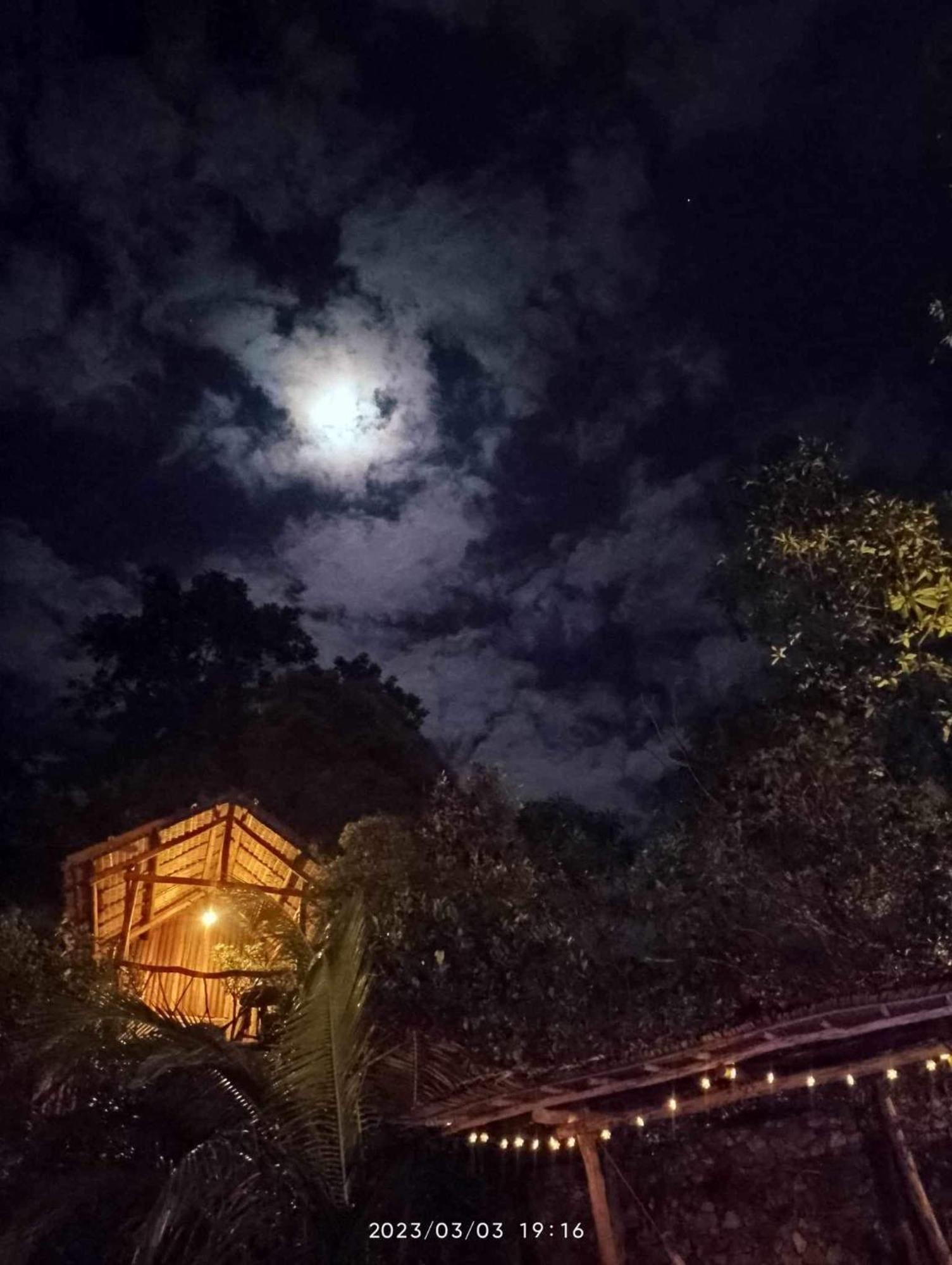 Sanctuaria Treehouses บูซวงกา ภายนอก รูปภาพ